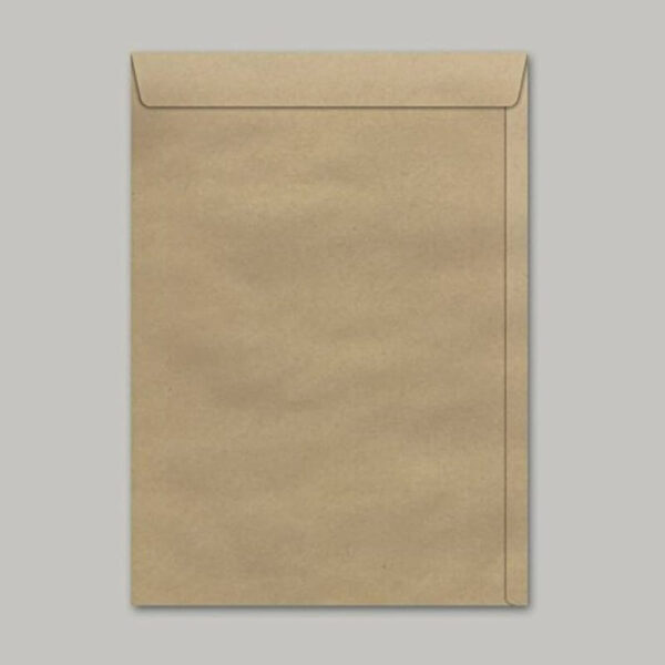 Envelope Via Brasil 200x280 Kraft | UNIDADE